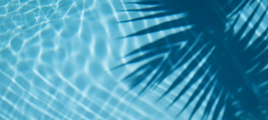 Sticker - Summer tropical background. Swimming pool with tropical leaf shadow. Generative ai