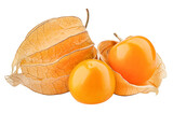 Cape gooseberry, physalis isolated on white background, full depth of field