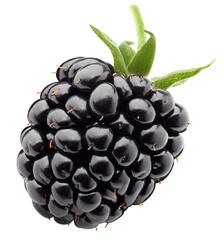 Wall Mural - blackberry isolated on white background, full depth of field