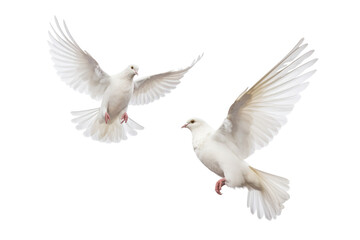 Wall Mural - 2 dove flying isolated on transparent background - generative ai
