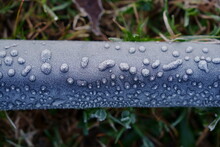 Frozen Irrigation Pipe On A Trout Farm In The Early Morning As The Frost Forms And Droplets Have Frozen Solid. First Freeze Of The Winter. Beautiful Textures And Patterns Formed By The Ice  