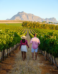 A couple of men and women are on vacation in South Africa at a Vineyard landscape with mountains in Stellenbosch, near Cape Town, South Africa