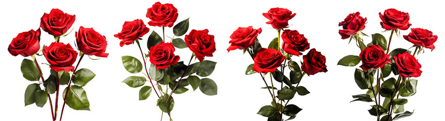 Bunch of red roses flowers on transparent background, Generative AI Technology 