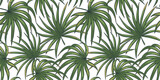 Fototapeta Sypialnia - Tropical exotic green plants and leaves wallpaper. Seamless pattern with summer tropical palm foliage