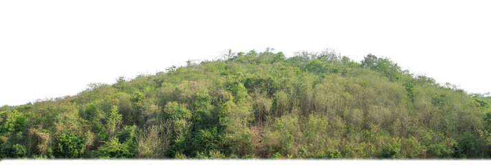 Aufkleber - rocky mountain hill with green forest isolated on transparent background with clipping path and alpha channel..