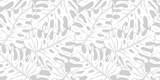 Fototapeta Boho - Tropical exotic leaves or plant seamless pattern for summer background and beach wallpaper.