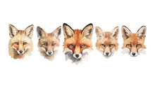 Set, Watercolor, Fox Faces, Illustration, High Detail, Sharp Edges, Sharp Lines, Artistic, Wildlife, Animal, Nature, Red Fox, Colorful, Vibrant, Detailed, Hand-painted, Fine Art, Portraits, Expressive
