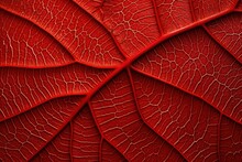 The Texture Of A Tree Leaf. Macro Texture Of Foliage. Background Red Leafs.