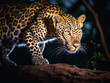 close up of leopard stalking in the night