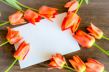 Wall Mural - salmon pink tulips and paper on wooden background