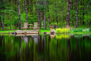 Wall Mural - Spring has sprung at our friend's pond in Upstate NY.  This is a very calm and tranquil spot to enjoy Nature and the flowers growing tall.  