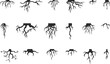 © MicroOne - Tree roots isolated collection. Nature root silhouettes, stammer different plants. Abstract branches, trees life system neoteric vector set