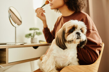 Wall Mural - Closeup of black young woman doing makeup at vanity table with cute little dog sitting in lap