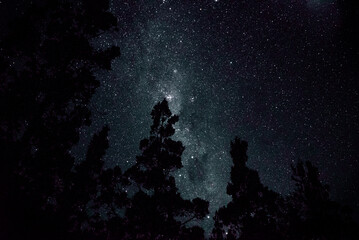 Wall Mural - sky at night Patagonia