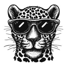 Cool Leopard Wearing Sunglasses Vector Sketch