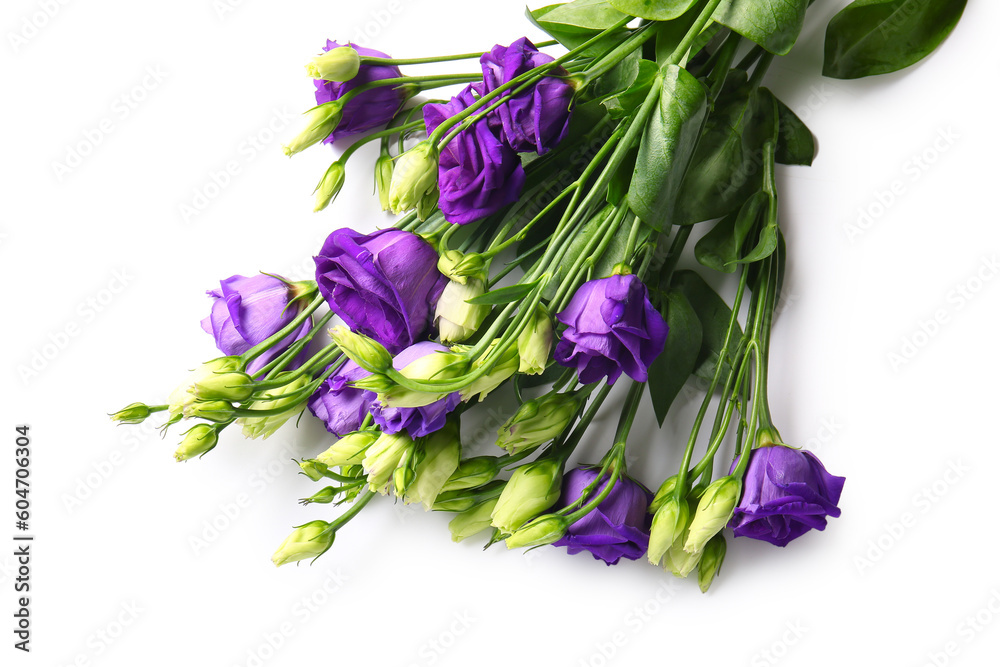 Eustoma flowers on white background