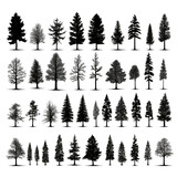 Fototapeta Las - Set of different silhouettes of pine trees transparent png