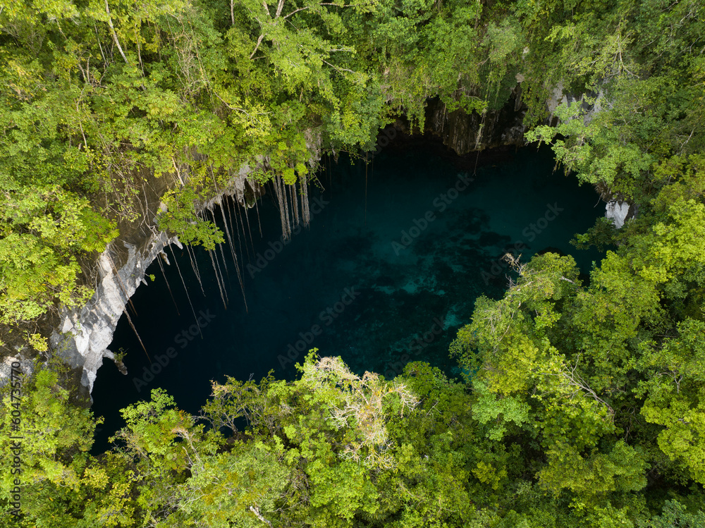 The collapsed roof of a dark, water-filled cave opens into a forest ...
