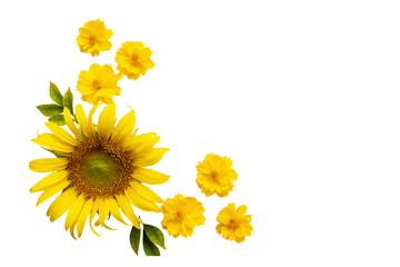 Wall Mural - yellow flowers sunflowers, cosmos arrangement flat lay postcard style