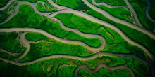 Aerial View Of A River Delta With Lush Green Vegetation And Winding Waterways Generative AI