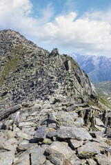 Wall Mural -  view of the Aletsch glacier in the swiss alps