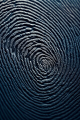 Leinwandbilder - A close-up photograph of a fingerprint in high resolution, showcasing the intricate ridges and unique patterns,  Generative AI technology.
