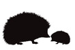 Vector silhouette of family of hedgehog on white background.
