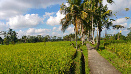 Canvas Print - beautiful balinese village view