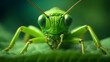 Close-up of a green grasshopper with green leaf background. Wildlife animals. Generative AI.