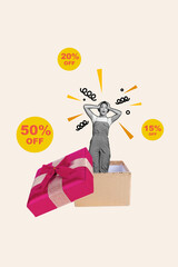 Sticker - Artwork banner 3d collage of amazed girl inside big box hand touch head impressed special offer low prices gifts on white color background