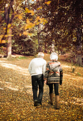 Wall Mural - Older couple walking together in park