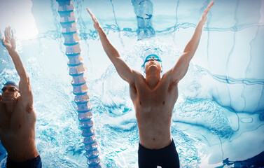 Wall Mural - Swimmers racing in pool