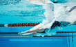 © KOTO - Swimmer diving into pool