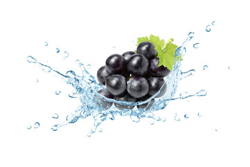 Wall Mural - Black grape in water splash isolated on white background.