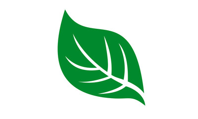 Poster - green vector leaf logo