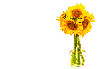 Wall Mural - yellow sunflower flowers in a transparent vase on an insulated white background. High quality photo