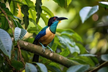 Wall Mural - exotic bird perched on tree branch, surrounded by lush greenery, created with generative ai