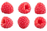 Raspberry isolated on white background, full depth of field