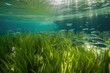 tropical seagrass meadow, with schools of fish swimming among the plants, created with generative ai