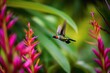 hummingbird hovering over tropical garden, its wings a blur of motion, created with generative ai