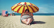 © annebel146 - A fat woman enjoys her vacation. sitting relaxing on the beach, In the background the beach and the sea. Overweight female on summer Holiday