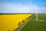 Fototapeta Psy - Wind farm located next to a flourishing rapeseed field. Puck Bay in the background.