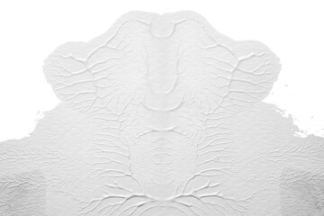 Poster - black white abstract acrylic painting color texture on white paper background by using rorschach inkblot method