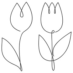 Poster - Tulip one line drawing. Continuous line flower. Hand-drawn illustration for logo, emblem and design card, poster.