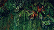 © NewSaetiew - Close up group of background tropical green leaves texture and abstract background. Tropical leaf nature concept.