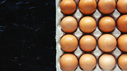 Wall Mural - raw yolk white chicken egg on dark background	