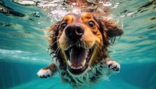 Cheerful And Happy Dog ​​bathes Underwater. Summer Entertainment And Recreation. Generative AI.