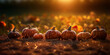 © YuliiaMazurkevych - Pumpkins at outdoor farmer market. Pumpkin patch. Halloween decor with various pumpkins, autumn vegetables and flowers. AI Generated