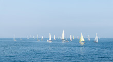 Group Of Sailboats In The Sea