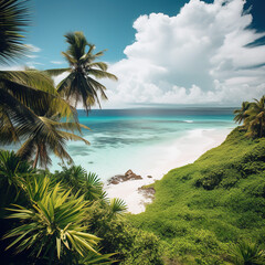 Beautiful seascape at sunset. Aerial view of the ocean waves breaking on the beach.Tropical beach with palm leaves.